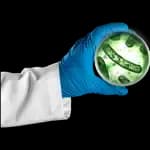 Lactobacillus acidophilus